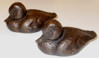 Ducklings