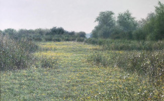 The Layby - Grasses and Buttercups,  Beaulieu Heath, Hampshire