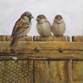 HR 50935 The White Feather House Sparrows 30x30cm £1075