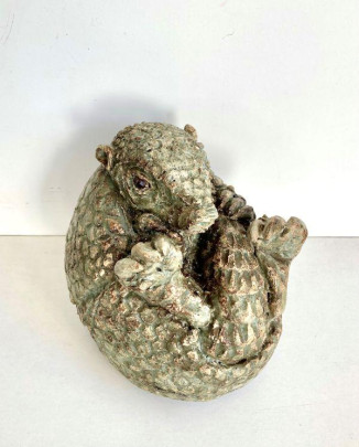SOLD Armadillo