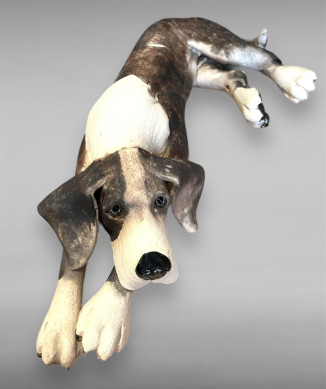 Lying Patchy Dog