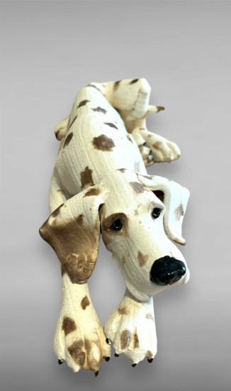 Spotty Lying Dog