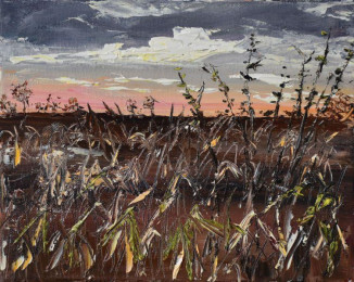 The Remains of Summer