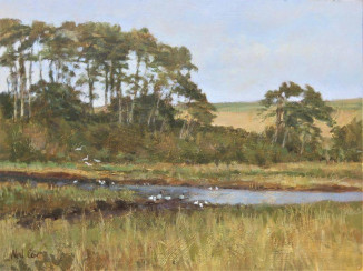 Evening Gathering - Budleigh Salterton Estuary