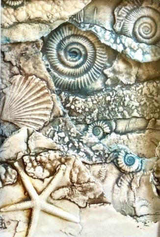 SOLD Ammonite 3D Framed