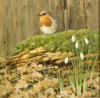 Dash Of White - Robin