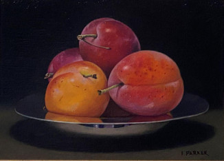 SOLD Victoria Plums