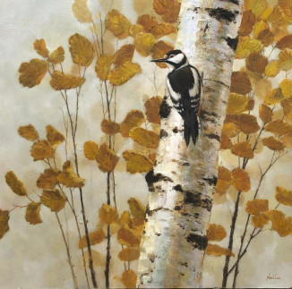 Autumn Birchwood - Great Spotted Woodpecker