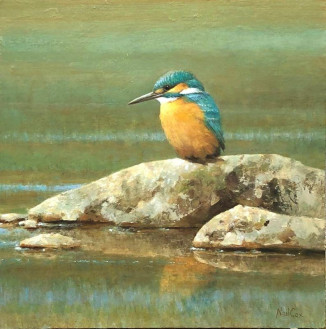 September Shallows - Kingfisher