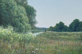 LR 51542 Millennium Fields River Otter II 35x53cm £4495