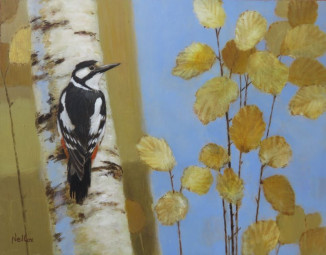 Amongst The Birches-Great Spotted Woodpecker