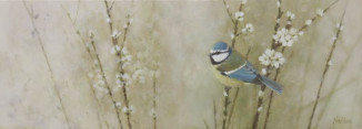 SOLD Blue Tit and Blackthorn