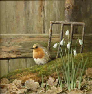 A Hint Of Spring - Robin