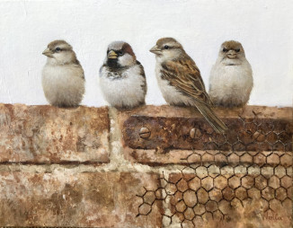 Wall Street - House Sparrows