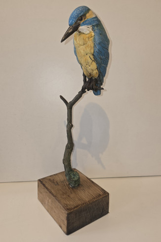 SOLD Kingfisher