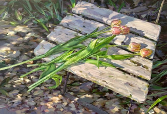 Tulips