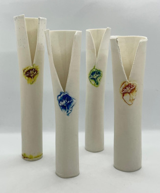 Cow Parsley Stem Vessels