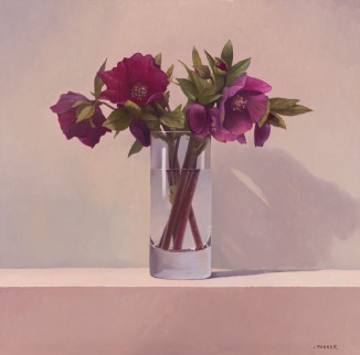 SOLD Hellebores