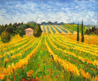 Vines Tuscany
