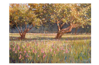 Chianti Orchard