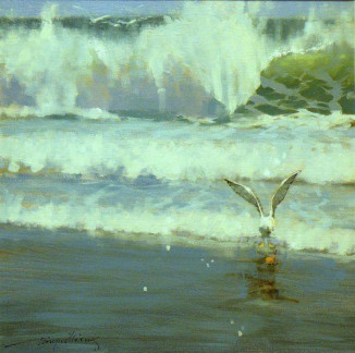 The Crab Catcher