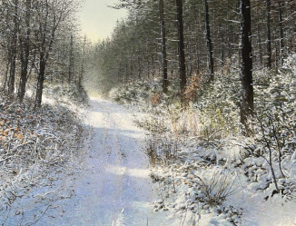 * The Forest Track in Snow East Devon