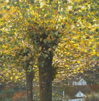 *Evening Light Lime Trees from Artist’s Studio