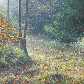 *Low Light Woodland Clearing