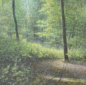 Trees Spring Blackbury Camp