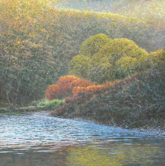 Autumn Colours River Tavy Buckland