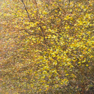 *Study Autumn Yellow Leaves I