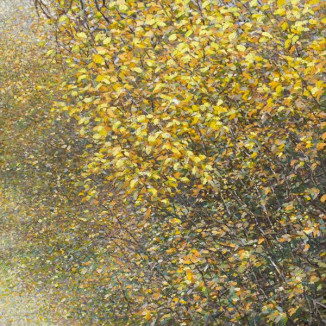 *Study Autumn Yellow Leaves II
