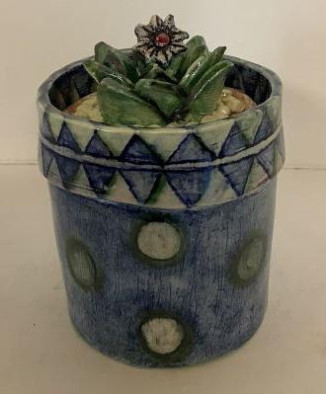 Small Succulent with Pink Flower