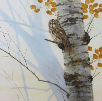 Dusk - Tawny Owl - Neil Cox