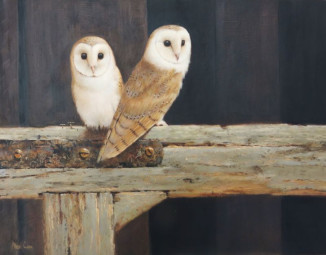 SOLD The Old Piggery - Barn Owls - Neil Cox