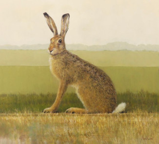 SOLD After the Harvest - Brown Hare - Neil Cox