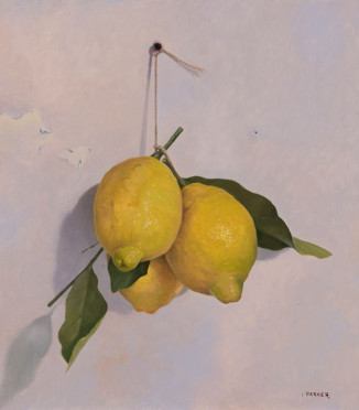 Hanging Lemons - Ian Parker